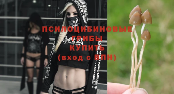дурь Новодвинск