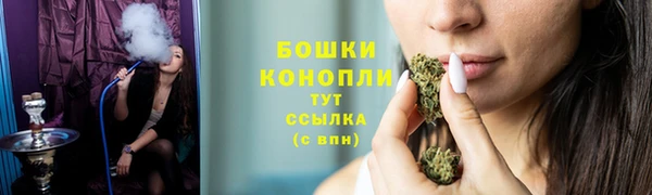 дурь Новодвинск